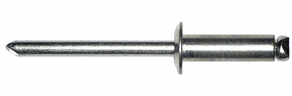 Заклепка вытяжная сталь/сталь, размер 4.8х21 мм (250 шт)